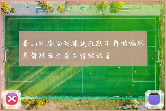 泰山队谢场时球迷沉默不再呐喊球员静默面对看台情绪低落